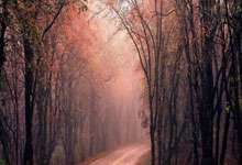 节能方案范本简单免费,节能方案模板