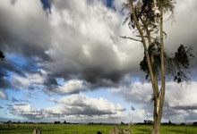 节能方案比拼怎么写范文,节能节电方案