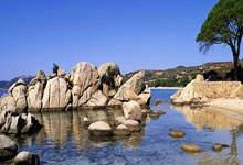 自动化控制系统规范,自动化控制系统的基本要求